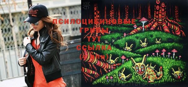 молекула духа Михайлов