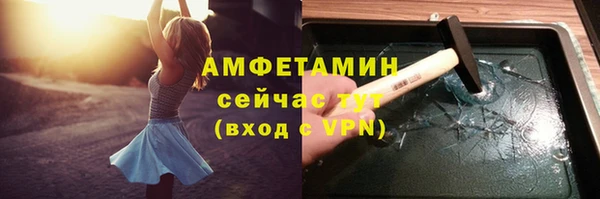 молекула духа Михайлов