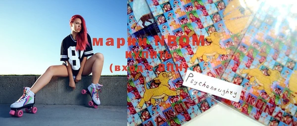 молекула духа Михайлов