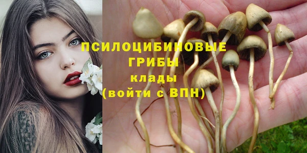 круглые Михайловск
