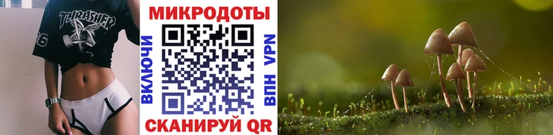 Псилоцибиновые грибы мицелий  Ершов 